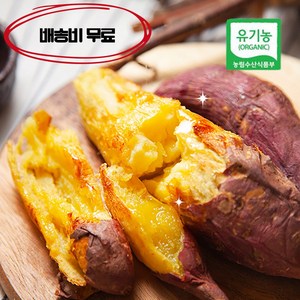 무안 유기농 꿀 달수고구마 엄지(한입) 3kg 5kg 10kg, 엄지(한입)-3kg, 엄지3kg