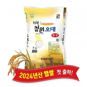 강원마트)강원S)당일도정) 2024년산 동철원농협 철원오대쌀 5kg 햅쌀, 1개