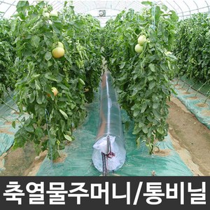 축열 물주머니 축열비닐 통비닐 0.15mm x 30cm x 100m, 축열비닐 0.15mm x 30cm x 100m, 1개