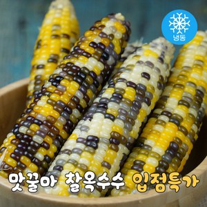 맛꿀마 쫄깃탱글 냉동 찰옥수수 삶은옥수수 알록이, 10개