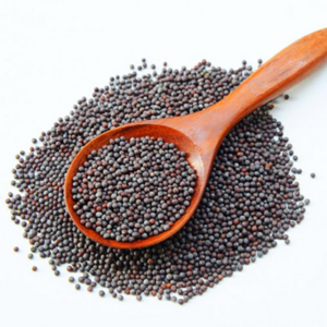 MUSTARD SEED 겨자씨 (인도) 150G, 1개