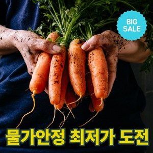 물가안정 청담농수산 제주도 특품 구좌 흙당근, 1개, 10kg (중)