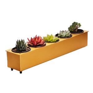 다육이화분 선인장화분 인테리어화분 트레이화분 거실화분 정리대 진열대, 화분구 5구, 실버 실버, 1개