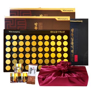 광동 침향 녹용 홍삼 기력보환 120환(4개월분) 450g + 쇼핑백 15가지 전통원료 부모님 연말 설 명절 선물세트 (전통차 포함) 1개, 1세트