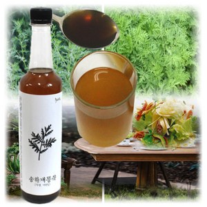 발효 진액 자연산 개똥쑥 효소 500ml 약쑥 국산 무방부제 건강즙 한방 약국 음식 송하 약쑥효소