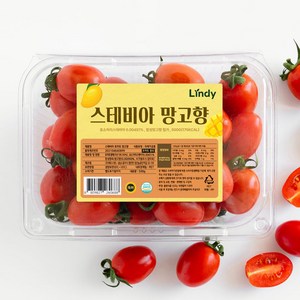 린디 고당도 스테비아 대추방울토마토, 1박스, 고당도 스테비아 토마토=대추방울 망고향, 중량=1kg