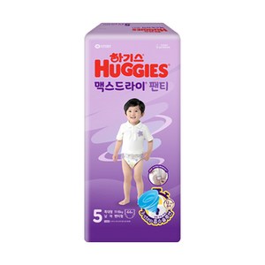 하기스 24년형 맥스드라이팬티 5단계 (남아), 44매