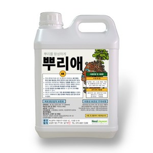 늘자연 비료 뿌리애 5L, 1개