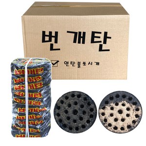 화성 번개탄, 220g, 10개