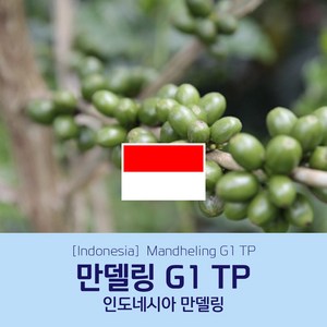 [인도네시아] 만델링 G1 TP 세웅지씨 산지 직수입 생두 1kg, 1개