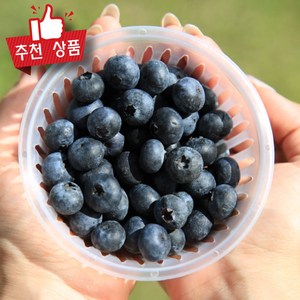 프리미엄 블루베리 생과 개별팩포장 생블루베리 대과, 6개, 100g