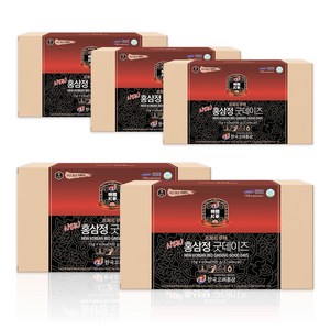 (주)한국고려홍삼 뉴홍삼정 60포 15gX60포 5박스 기업선물 설날선물 선물세트 회사선물세트