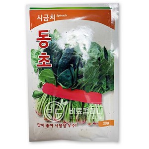 시금치씨앗30g (동초) - 텃밭 주말농장 섬초 포항초 시금치 씨앗 야채 채소 씨앗 모종, 03. 동초 시금치씨앗30g(1봉), 1개