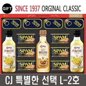 CJ제일제당 특별한선택 L-2호 스팸선물세트 + 선물용가방 포함, 1개