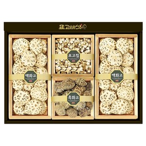 [표고아빠]참나무 국산 표고버섯 선물세트[특선1호](부직가방+택배박스), 1세트