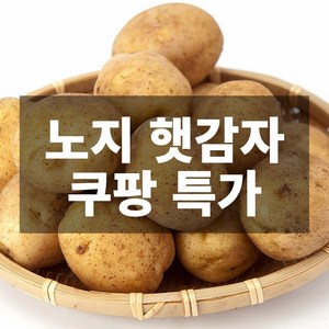 나만의건강by설리마켓 산지직송 국내산 노지 햇감자 5kg 10kg, 1박스, 5kg(대형)