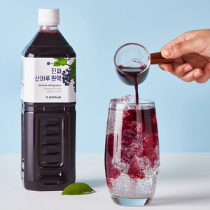 트루 산머루 원액, 1개, 1L, 1개