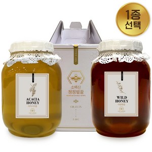 소백산청정농원 100% 자연산 아카시아꿀 2.4kg, 천연 아카시아꿀, 1개