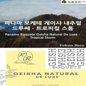 (커피생두) 파나마 보케테 게이샤 내추럴 드루쎄-트로피컬 스톰, 1kg, 1개