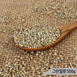 건강알곡 그린밀렛 500g 앵무새 모이 영양간식 사료, 1개