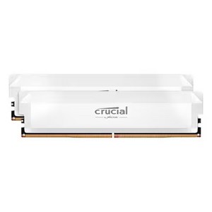 [마이크론] Cucial DDR5 PC5-48000 CL36 PRO Oveclocking White 대원씨티에스 [32GB (16GB*2)] (6000), 2개