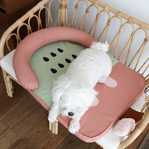 슬로우고 강아지 고양이 쿨방석 아이스바 시원한 여름 쿨매트, 키위