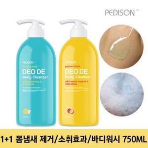 l+l 페디슨 데오드 바디클렌져 750ml 몸냄새제거, 2개