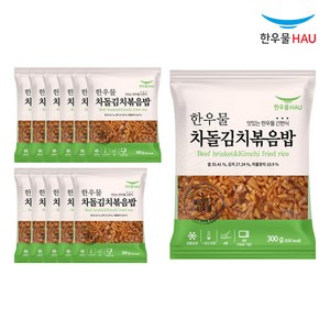 [자연맘스토리] 한우물 차돌김치 볶음밥 300g x 12개