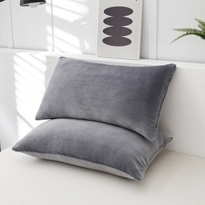 소하임 통세탁 극세사 베개 2P, 2개