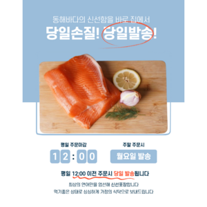 송원물산 연어스테이크200g 손질없이 간편한 연어스테이크1팩 5팩, 5개, 200g