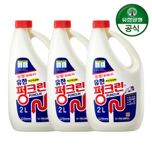 유한양행 펑크린 배수구 세정제, 2L, 3개