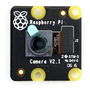 Raspbey Pi 라즈베리파이 RPi NoIR 카메라 V2 공식 라즈베리 파이 적외선 야간 비전 모듈 V2.1 IMX219 800만 화소 센서 3280 x 2464 1080, 1개