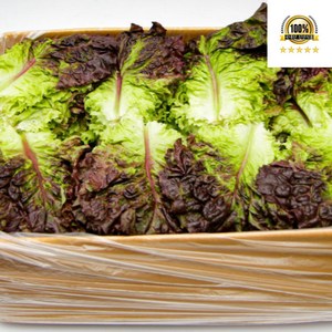 < 바른농산 > 국내산 적상추 쌈채소, 1개, 2kg