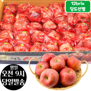 [오전8시 주문건 당일발송] 12브릭스 당도선별 세척사과, 5kg (27~34입), 1개