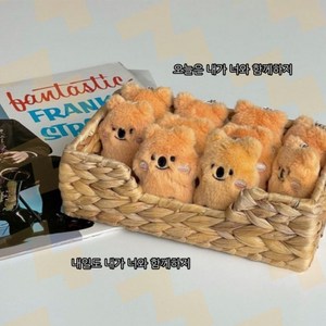 쿼카인형 미니 봉제 1P, 혼합색상, 10cm