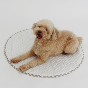 몽뚜뚜 댕냥이 냉감 원형쿨매트 M 시원한매트 여름용 보금자리, 자몽