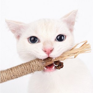 고냥냥 마따따비 캣닢 고양이 장난감, 3개, 단일