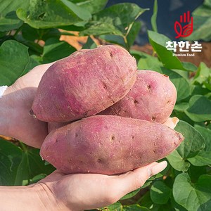 [착한손] 퍽퍽 밤고구마 세척 고구마, 고구마 2.5kg (밤고구마/특상), 1개