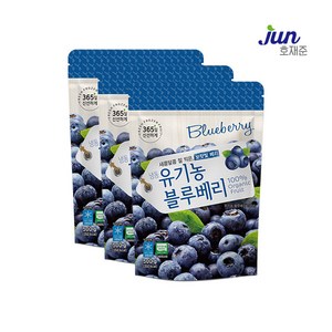 [호재준] 냉동유기농블루베리(미국산) 500g, 3개