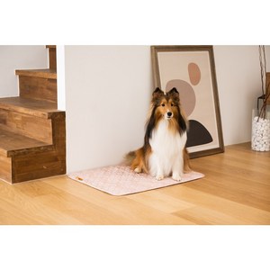 브리즈독 또또패드 빨아쓰는 배변패드 실리콘 논슬립 매트 다회용 매트 중대형 M(55*70cm) 배변훈련, 1장, 1개입