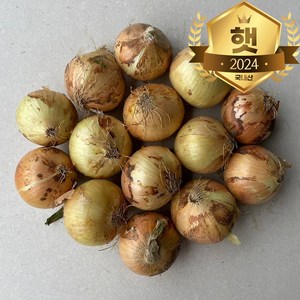 국내산 햇 양파 최상품, 양파3kg(특), 1개