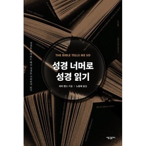 성경 너머로 성경 읽기:성경을 방어하는 대신 성경을 신뢰하며 읽기, 피터 앤스 저/노동래 역, 새물결플러스