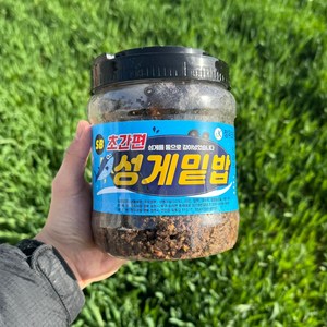 SB 성게밑밥 1kg, 1개
