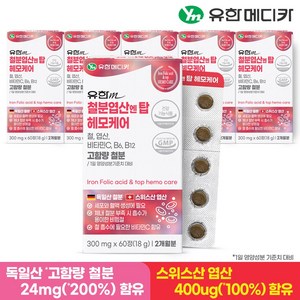 [유한메디카] 철분 엽산 엔 탑 헤모케어 60정x6개(12개월분), 60정, 6개