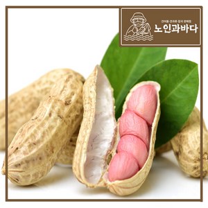 [노인과바다] 볶음피땅콩1kg, 1개