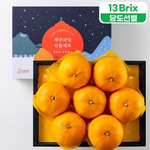 프루미츠 중문농협에서 엄선한 천혜향 2kg 선물세트 (6~8과)