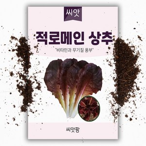 씨앗팜 적 로메인상추 씨앗 (1000립)채소씨앗 쌈채소, 1개