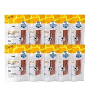 꼬뜨 스테이크 저키 대용량 구성, 10팩, 100g, 덕덕 스테이크