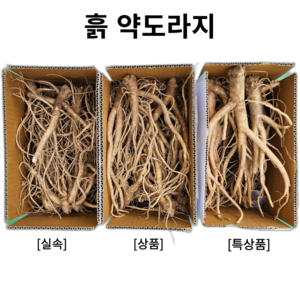 도라지 약도라지 흙 세척 생도라지 깐도라지 1kg 24년 국산, 종류, 1개, 세척약도라지(특상품) 1kg