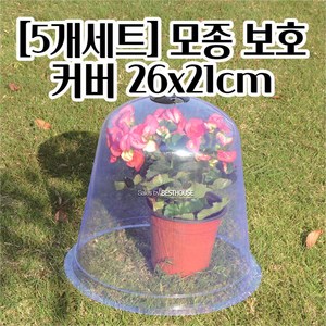 5P세트 모종 새싹 보호커버 (대)26X21CM 투명 깔끔하고편리 가드닝 식물키우기